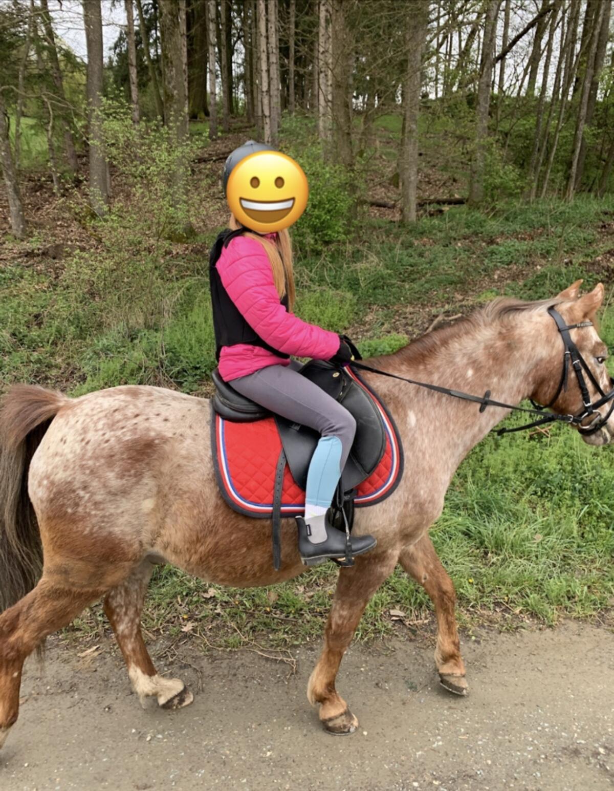 Reitpony 3