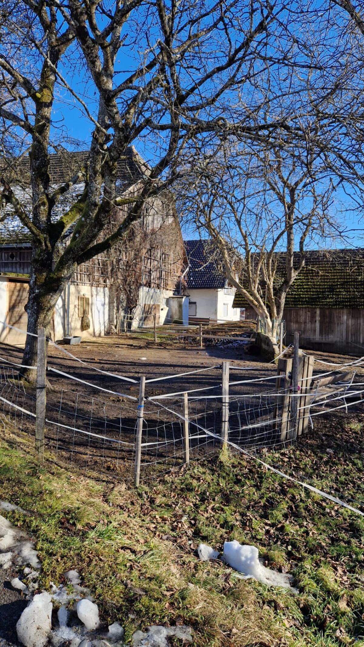 Weide und / oder Stallgebäude zu verpachten 2