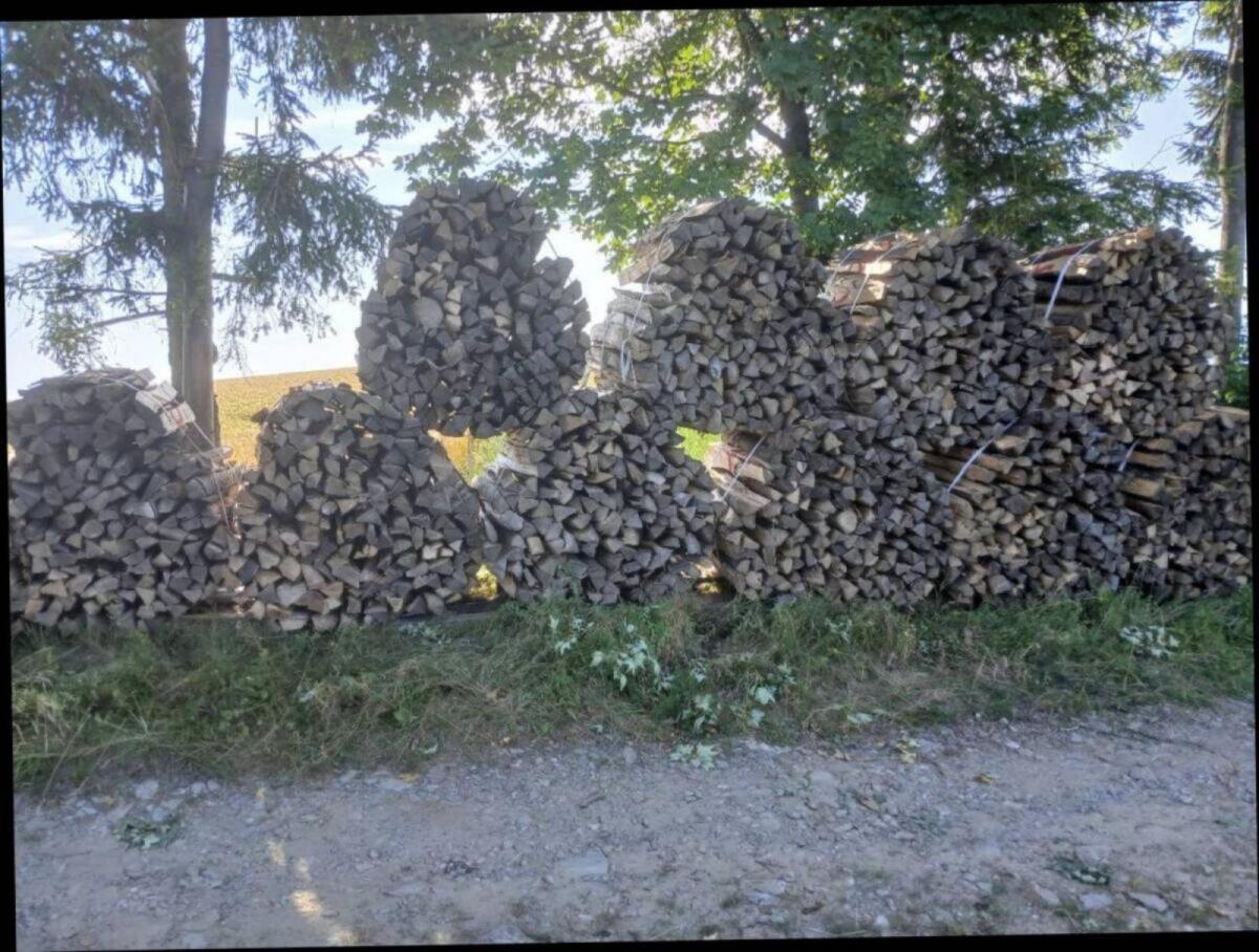 Brennholz Bündel 2