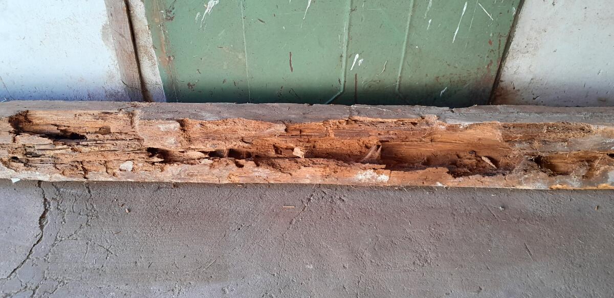 Altholz Holzbalken 3