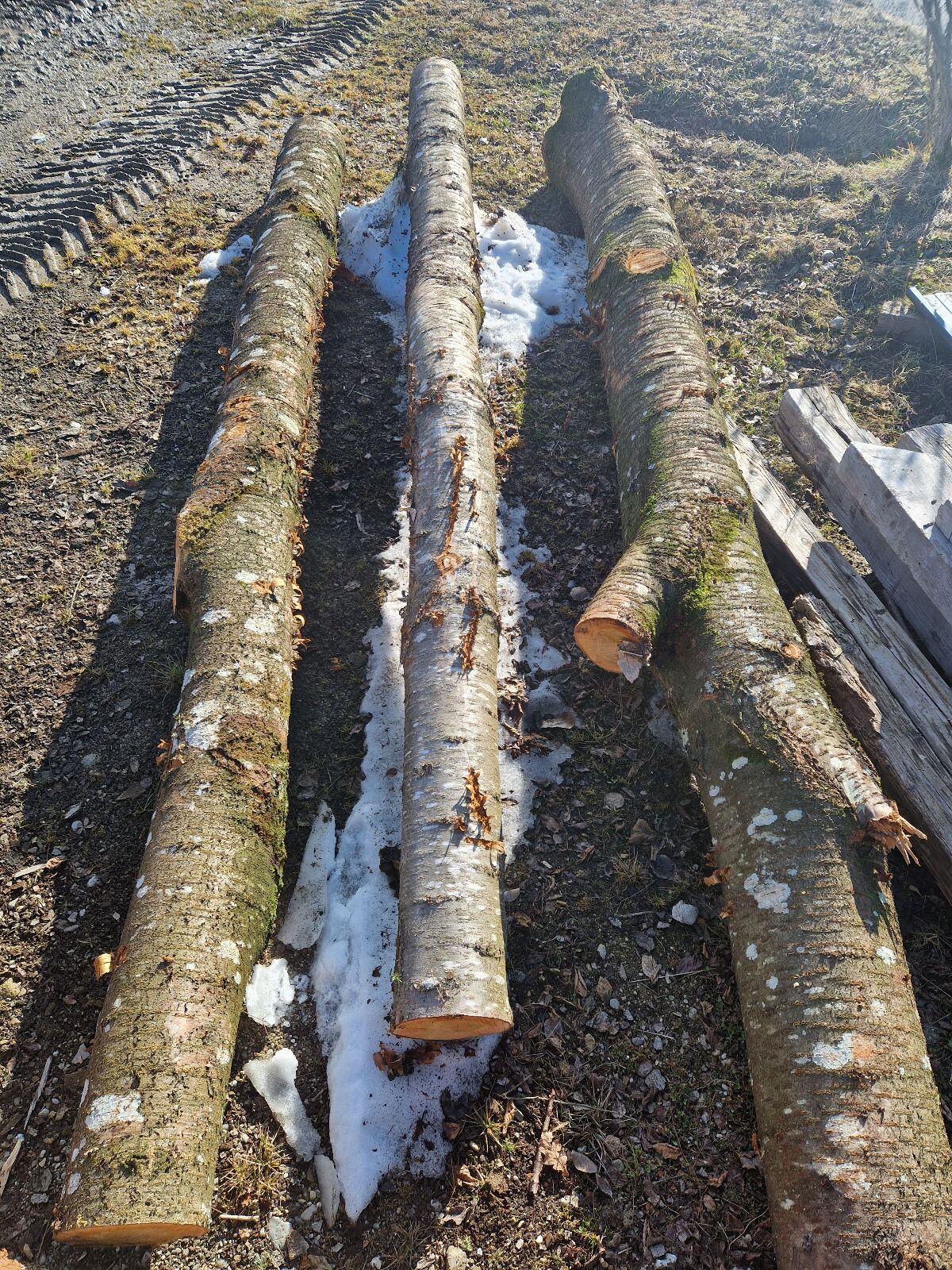Kirschbaum 2
