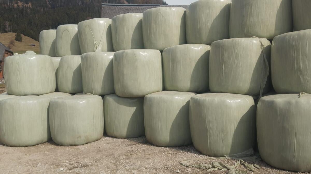 Siloballen ca. 1,35-1,4 m 2