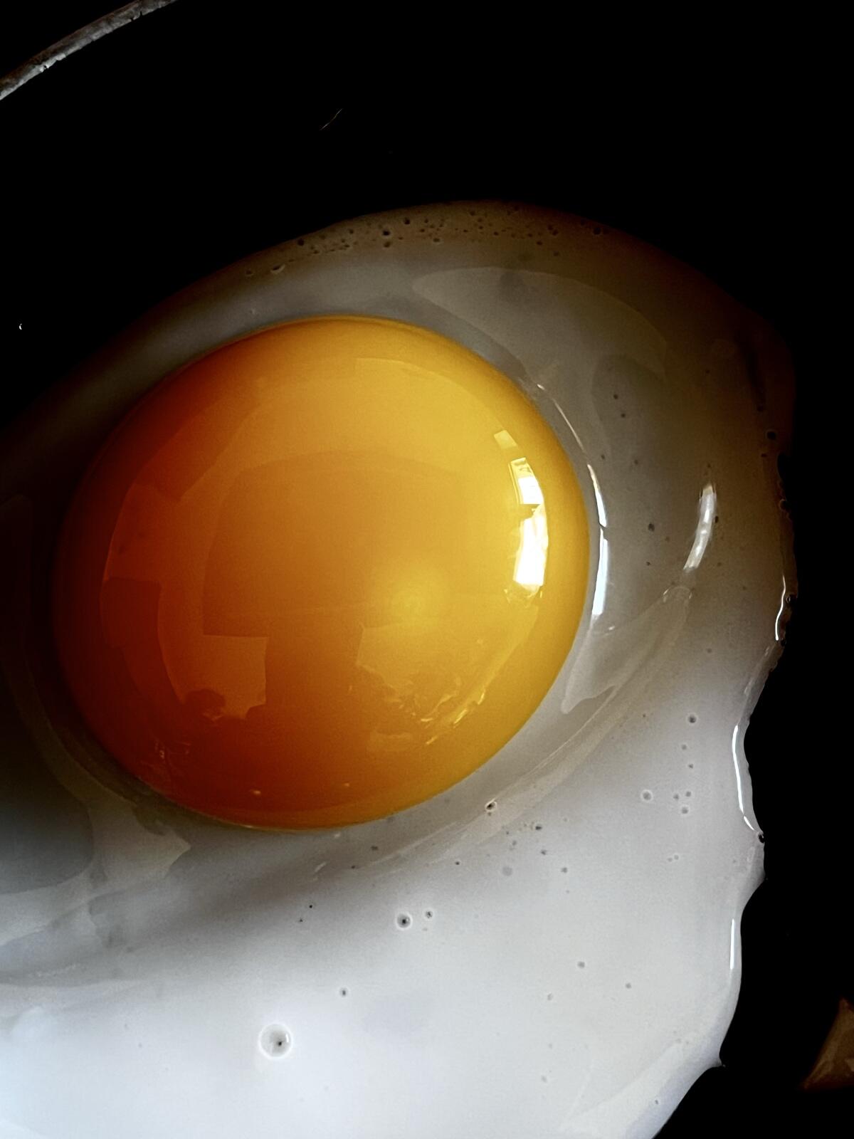 Bruteier von Laufenten 3