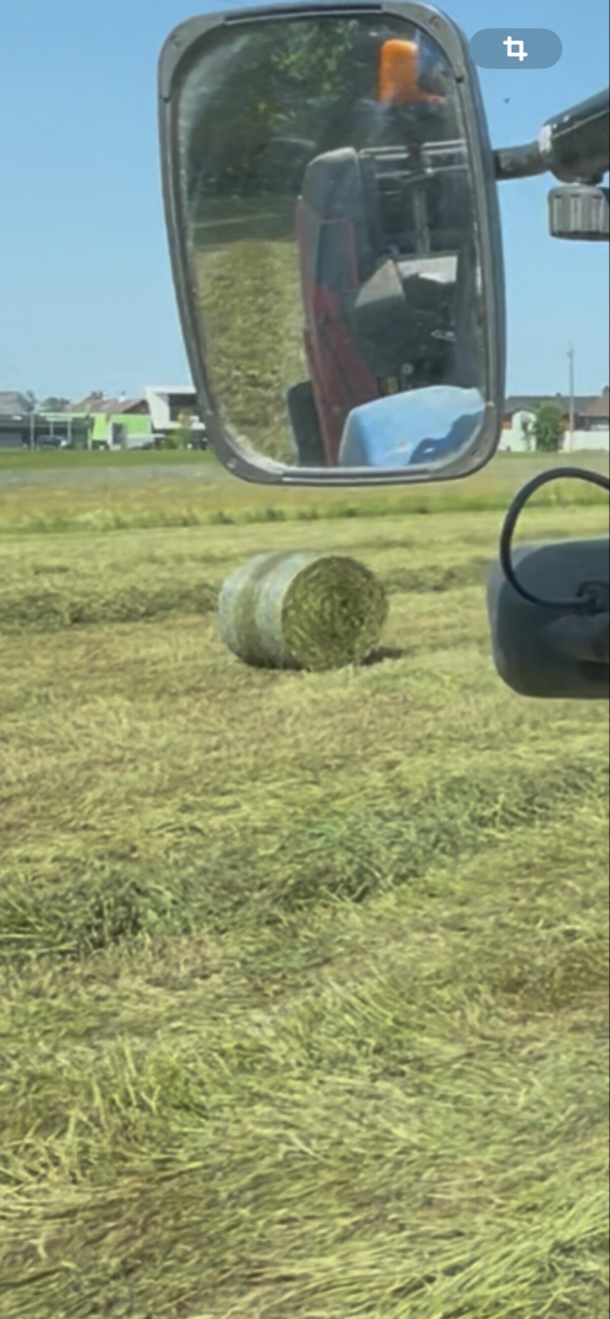 Bio Klee Siloballen 2