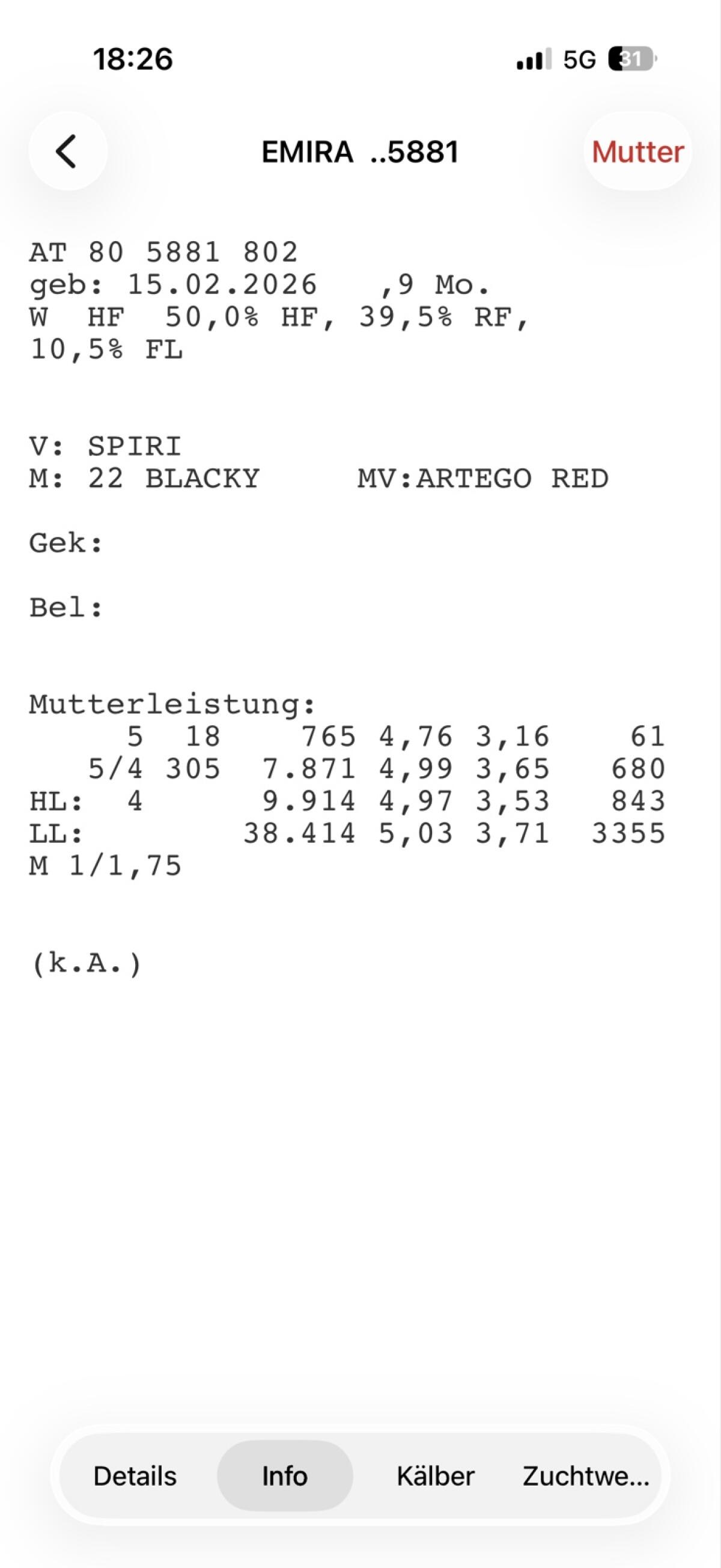 BIO Zuchtkälber 3
