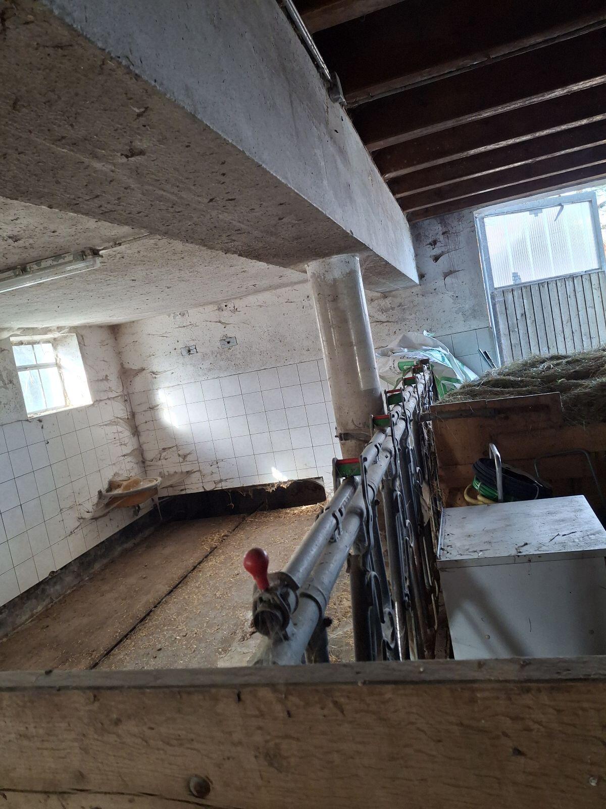 Aufstallung Laufstall 2