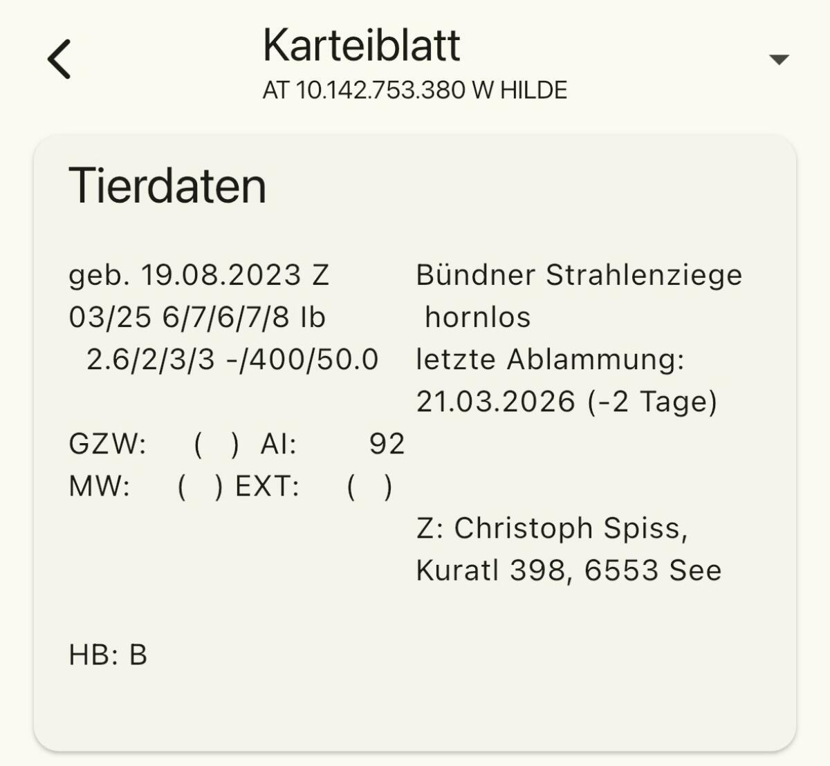 Bündner Strahlenziege 2