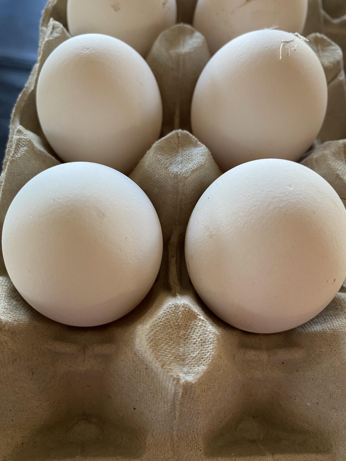 Bruteier Strupphuhn 3