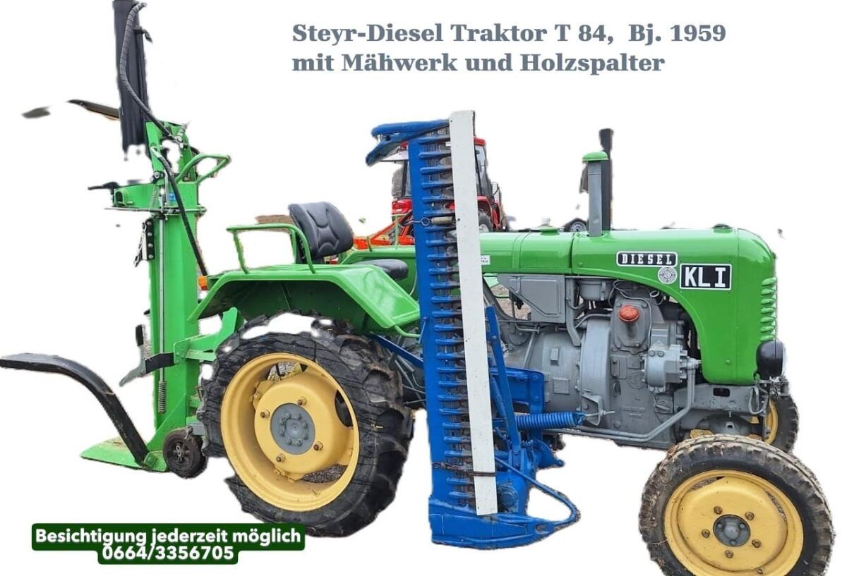 Steyr Traktor T84, Bj.1959 3
