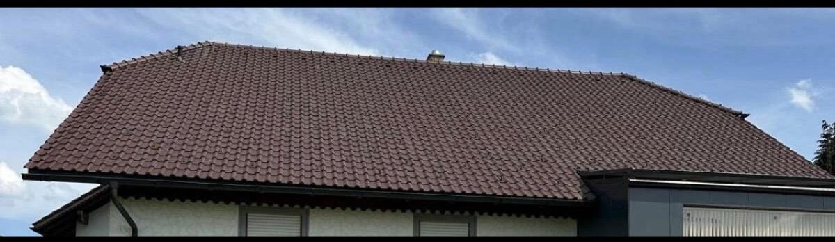 Dachziegel 2
