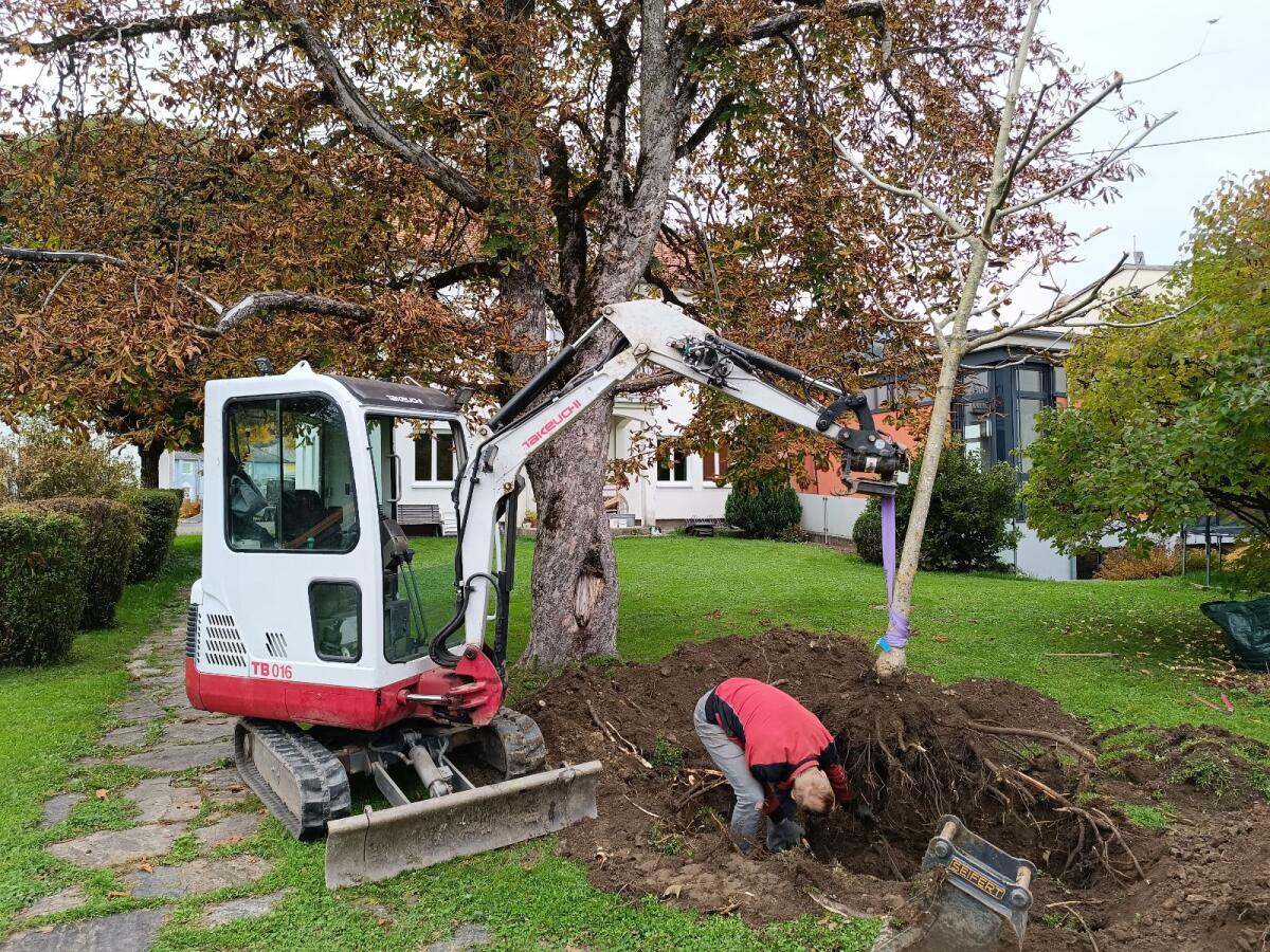 Bagger TB016 Takeuchi 2
