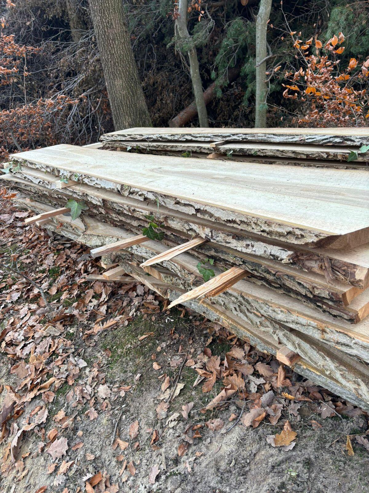 Nussbaum 3