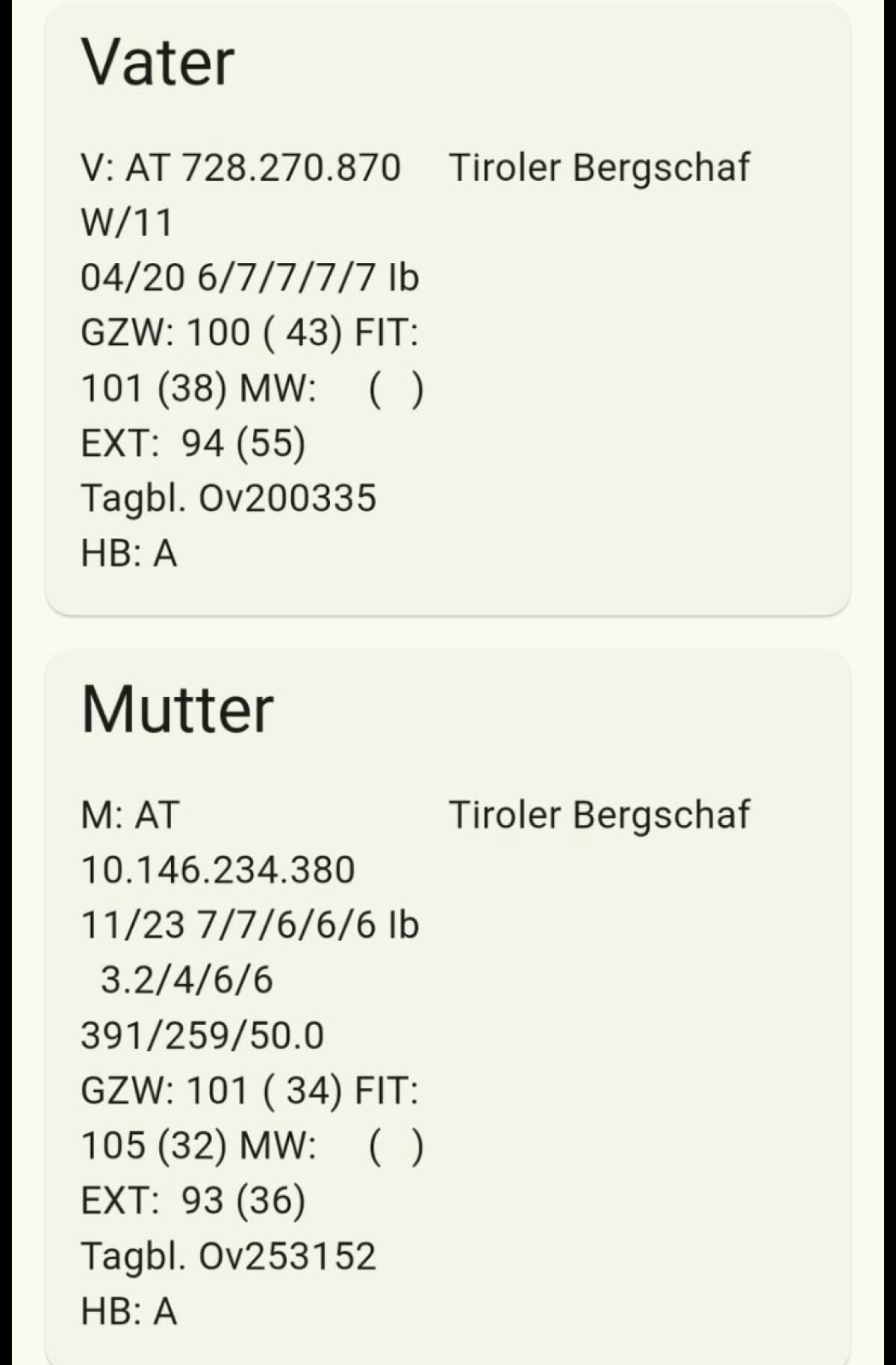 Tiroler Bergschaf 3