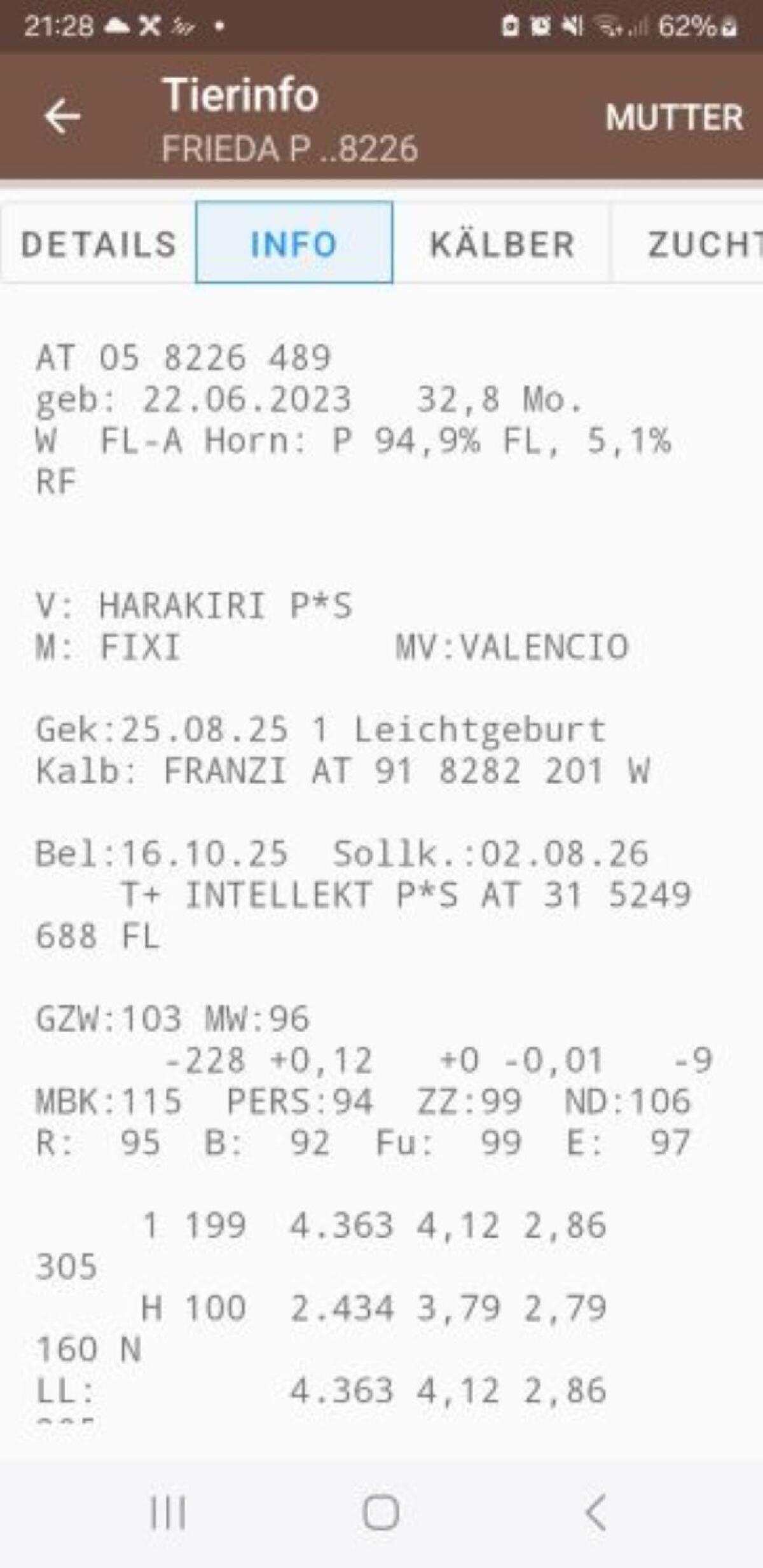 Bio Erstlingskuh - trächtig 2