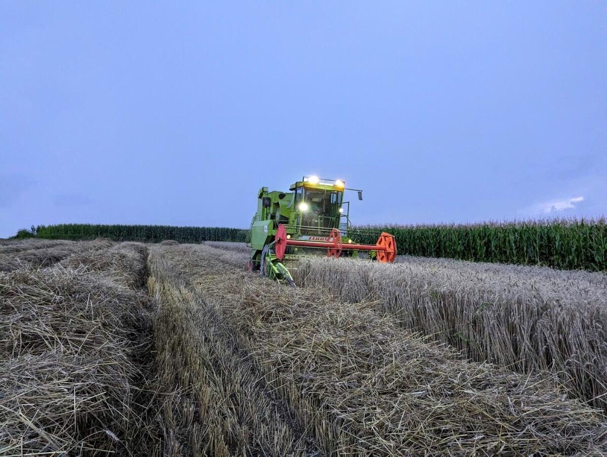 Claas Dominator 85 Mähdrescher 2