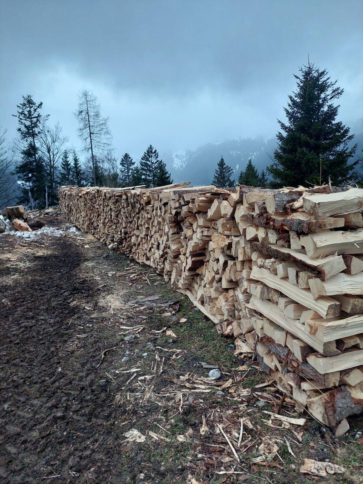 Brennholz 3