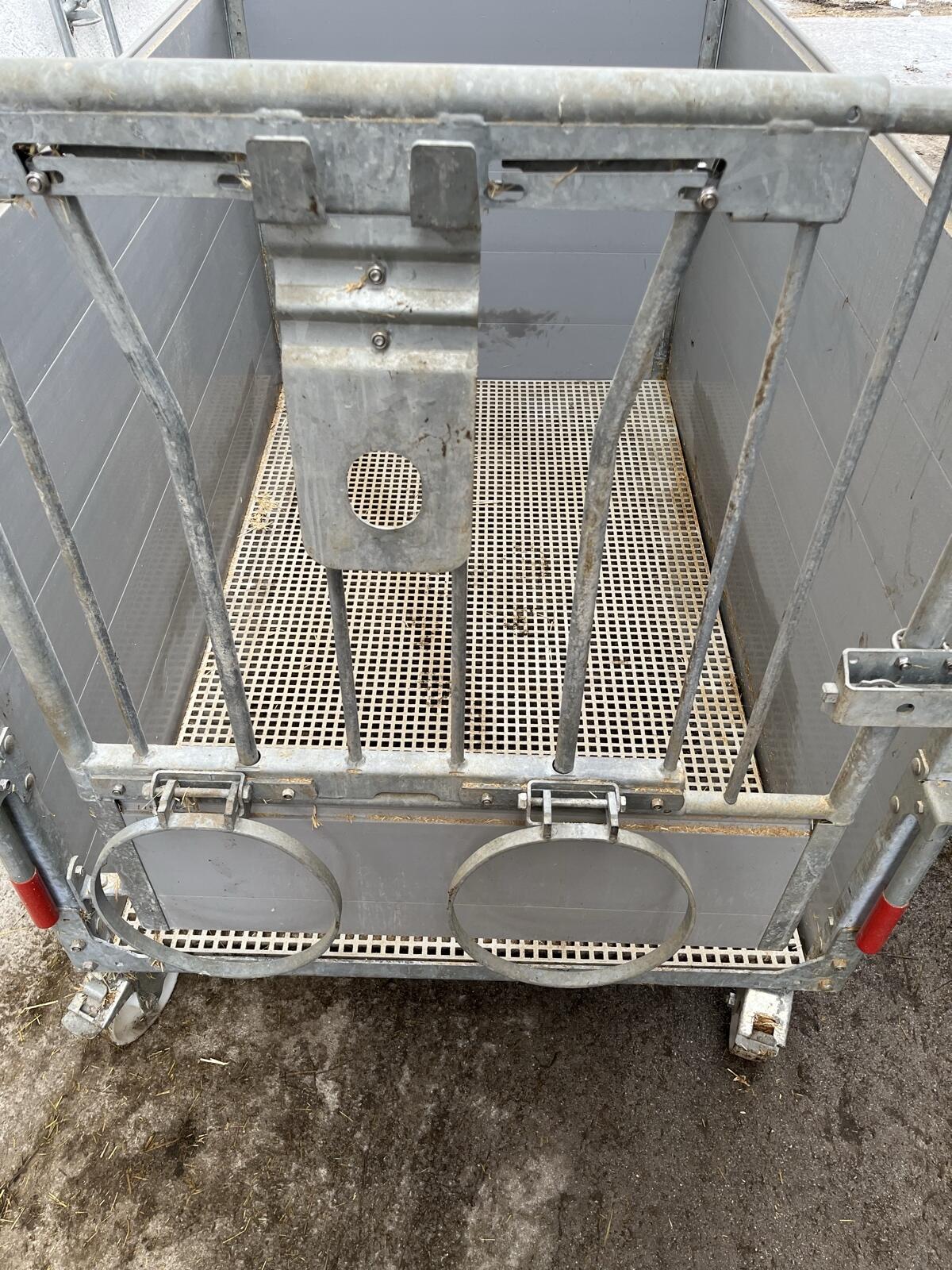 Kälberbox 2