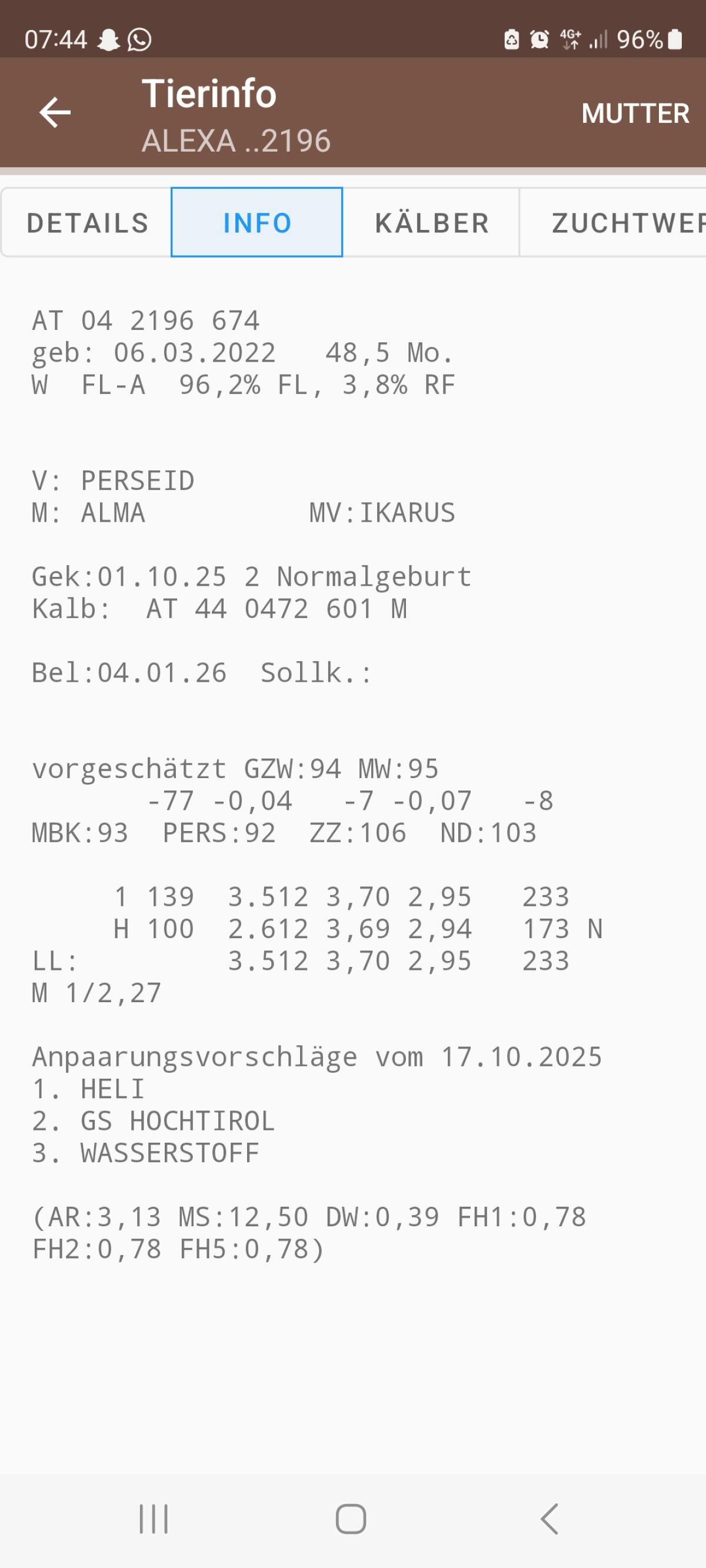 Verkaufe bio kuh trächtig 2