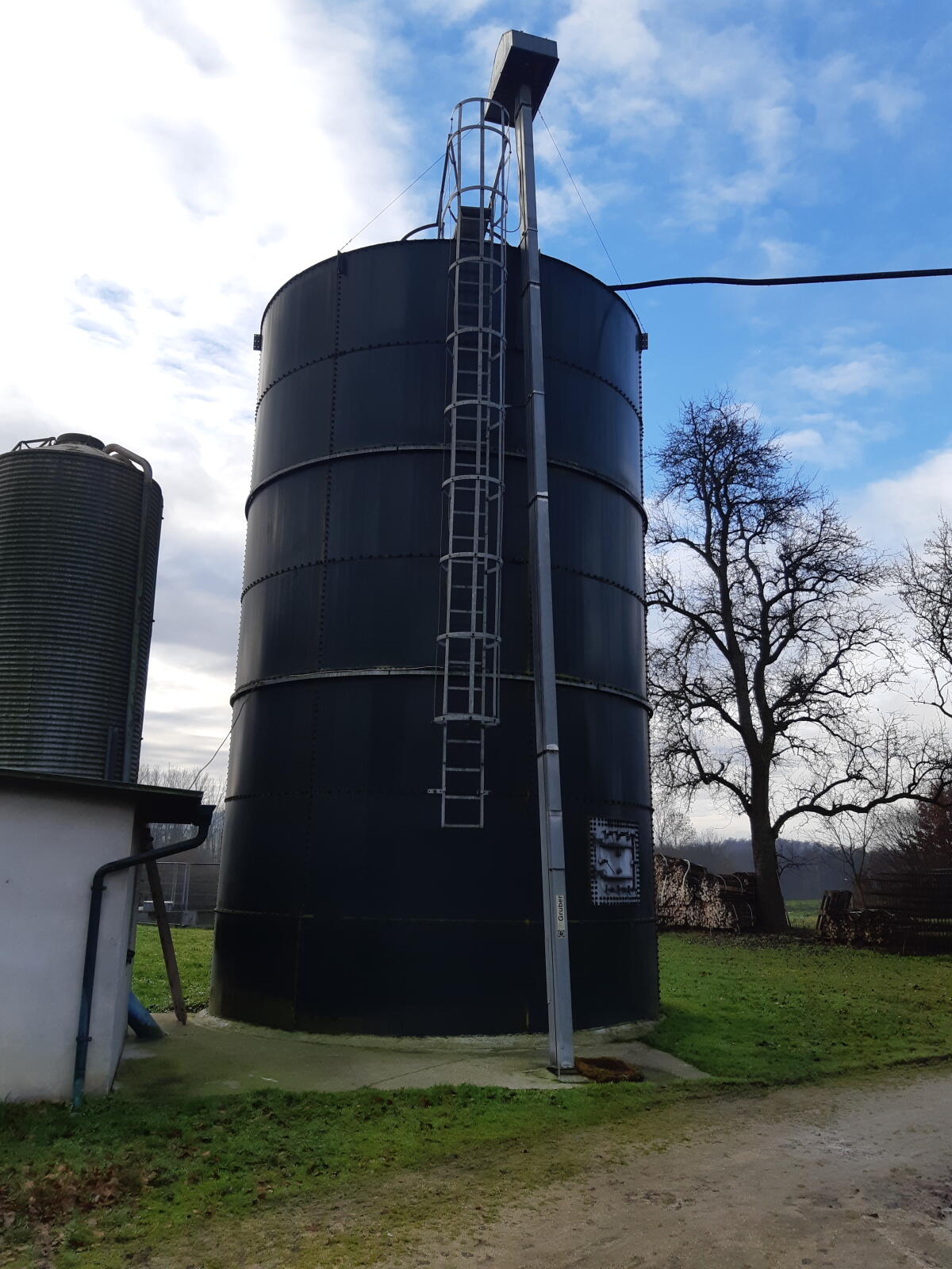 Ganzkornsilage 2
