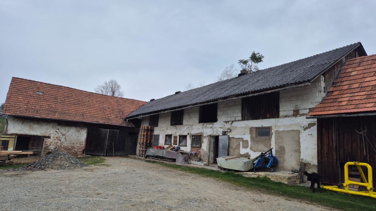 Stalldach zu verschenken 2