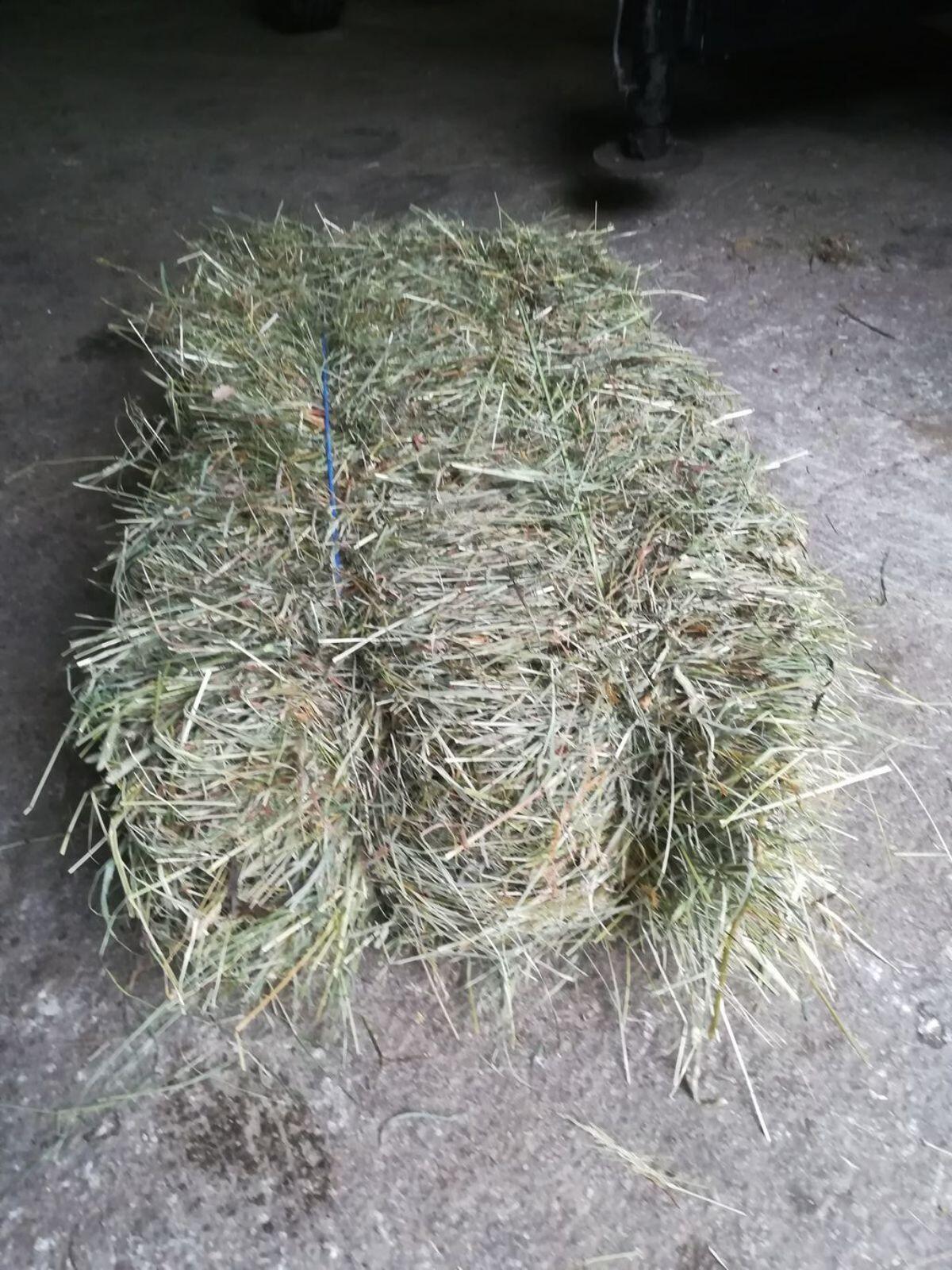 Heu in Kleinballen 2
