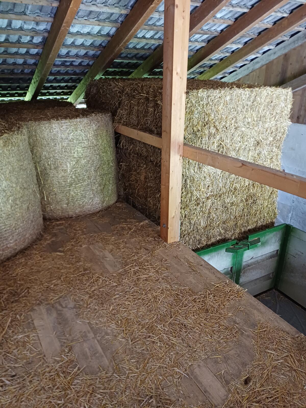 Stroh, Strohrundballen, Triticalestroh 2