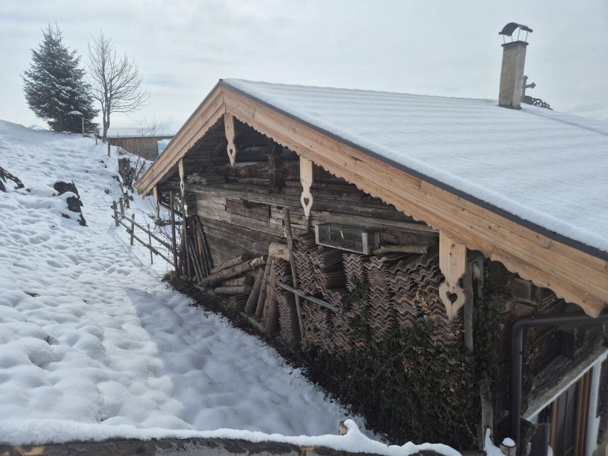Altholz 2