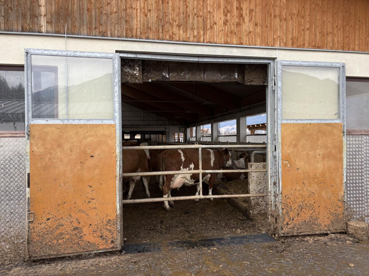 Stalltür 2