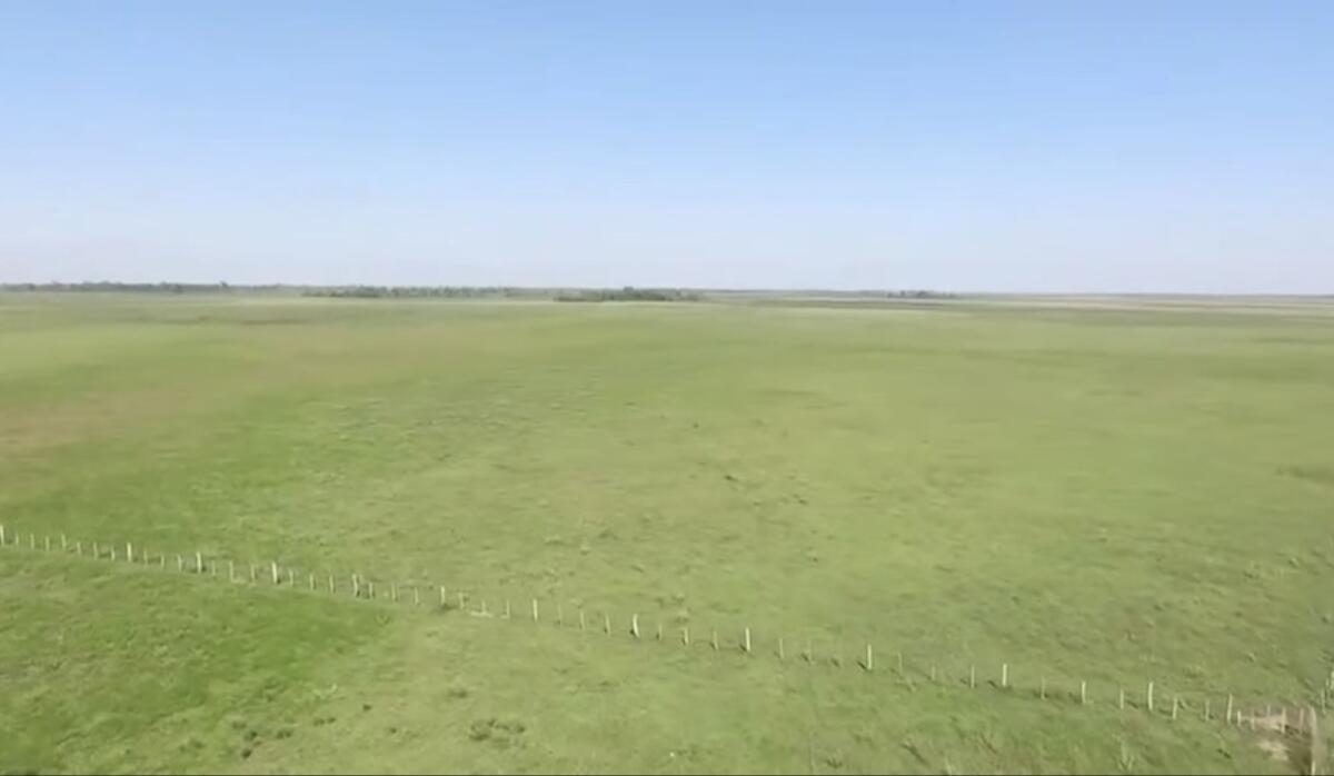 1.200 Hektar in Paraguay 3