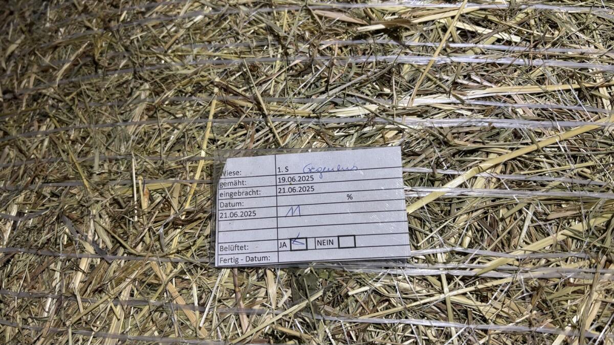 Pferdeheu Bio Allergiker 3