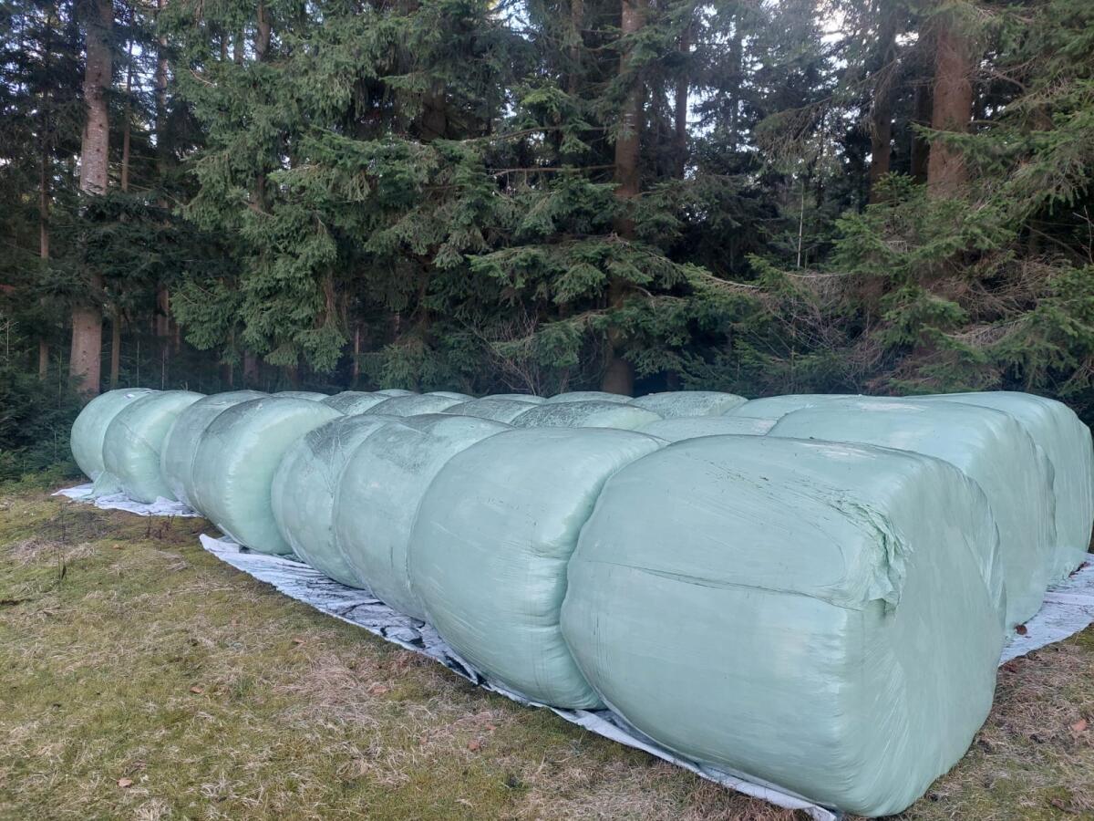 Siloballen | 2025 | BIO 2