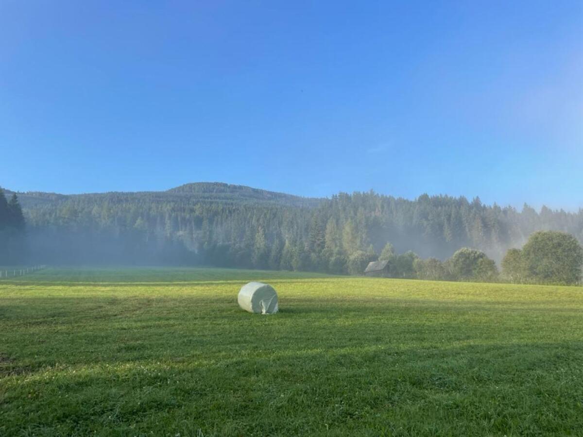 Suche Bio-Siloballen 2