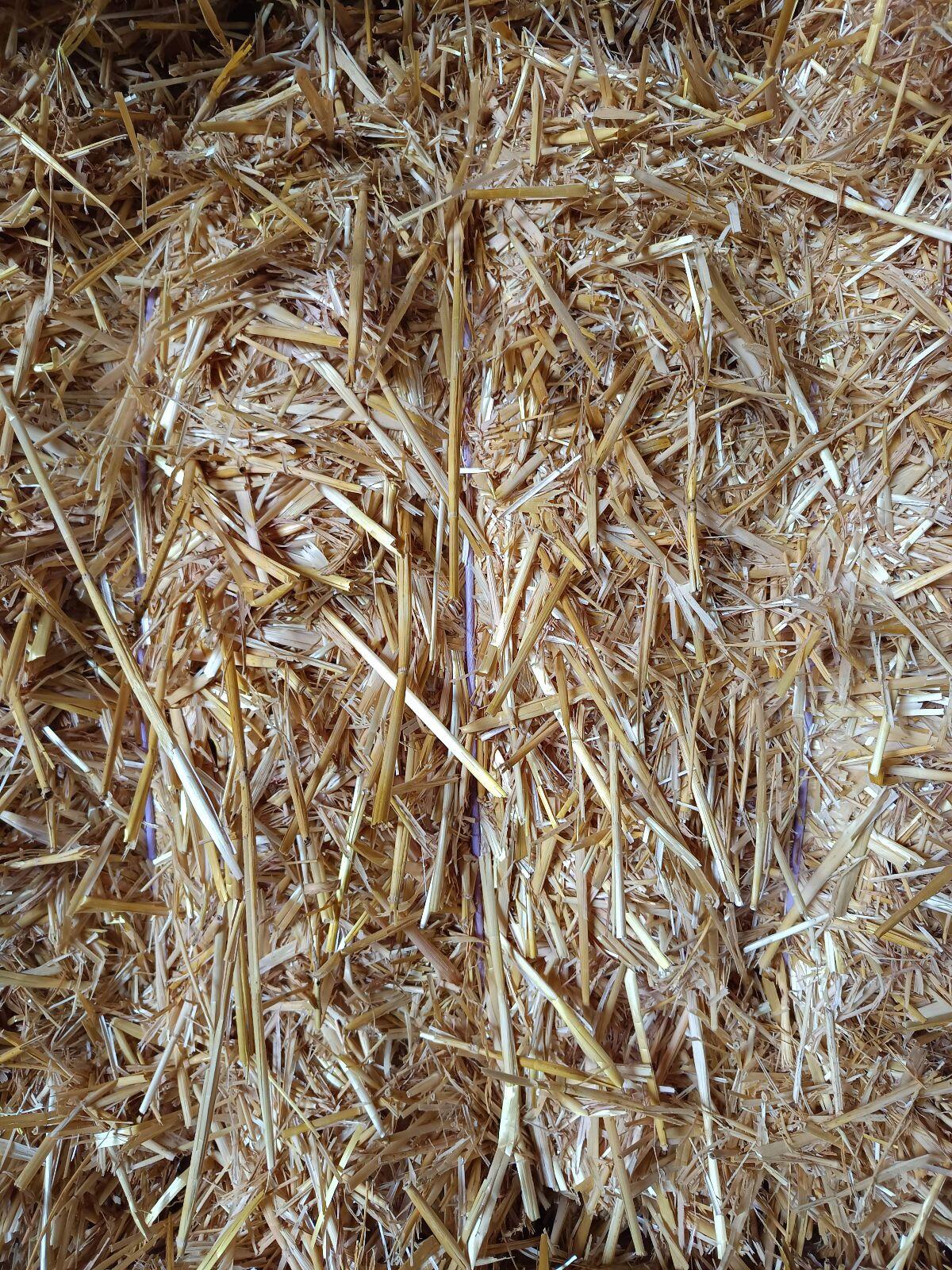 Gerstenstroh 1A Futterqualität 2