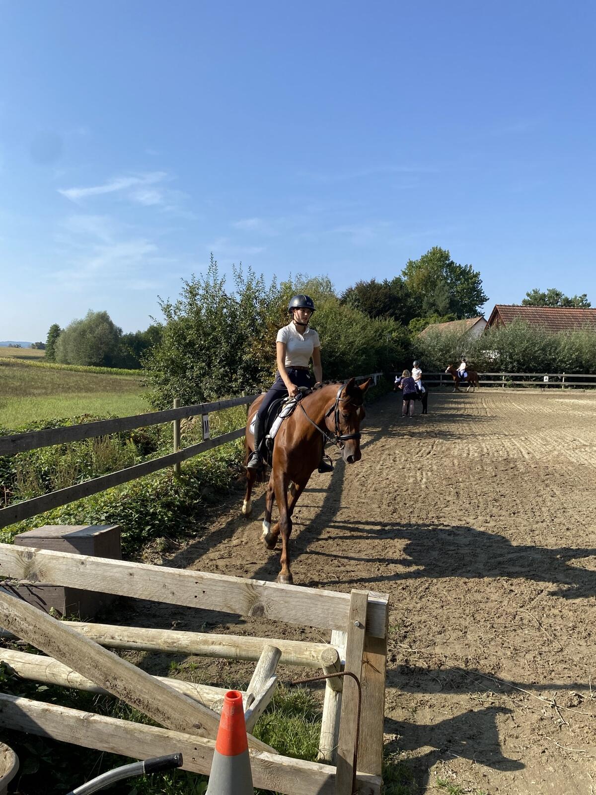 Pferd mit einem Herz aus Gold 3