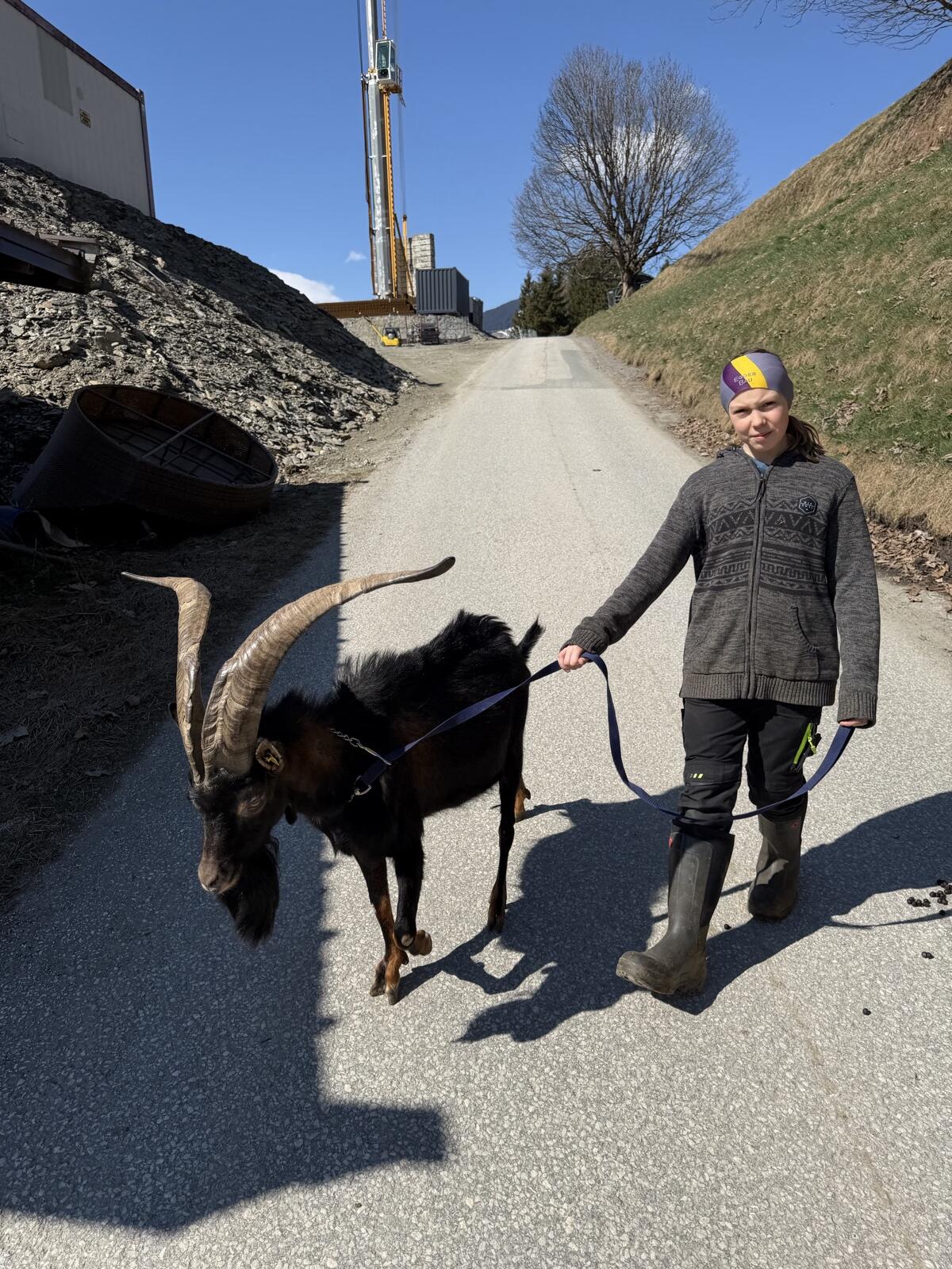 Aosta Bock 3