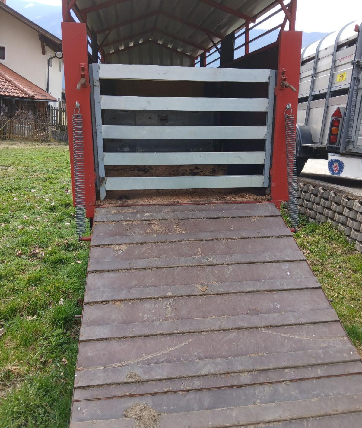 Traktor Viehanhänger 3