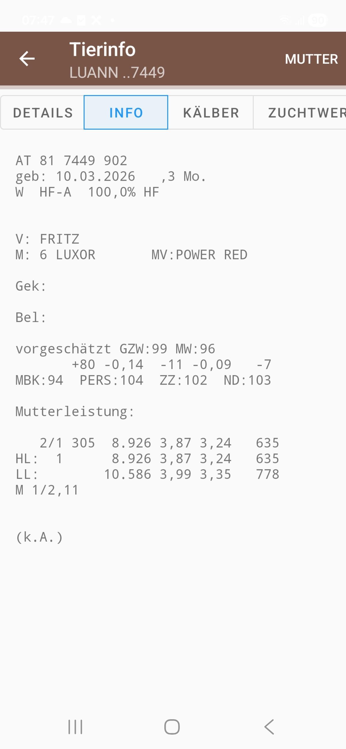 HF Kälber 2