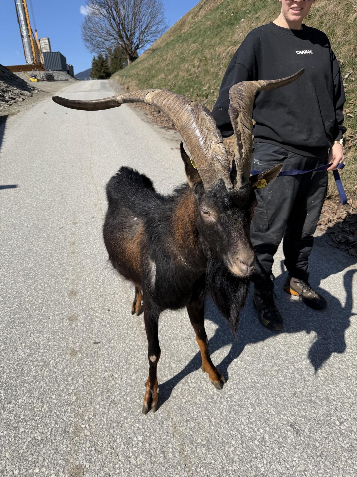 Aosta Bock 2
