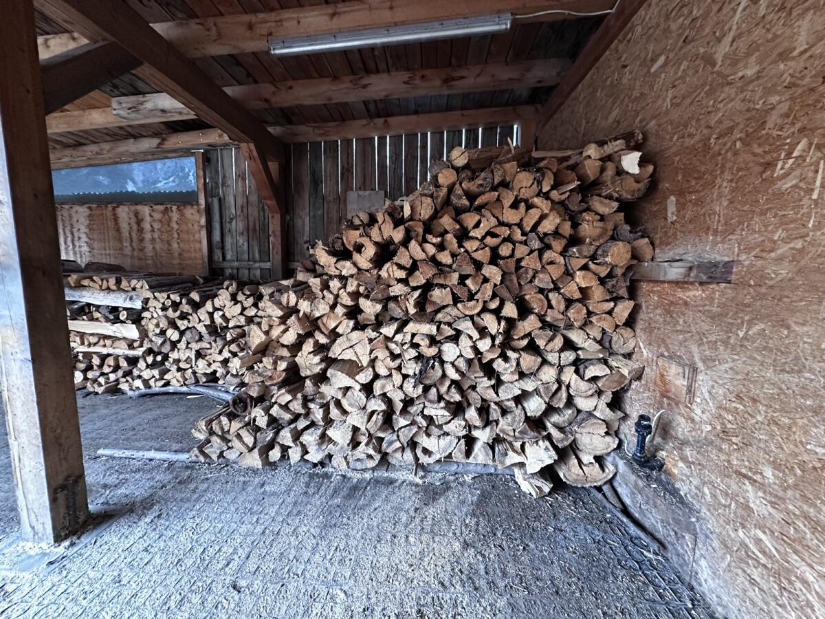 Trockenes Brennholz 2