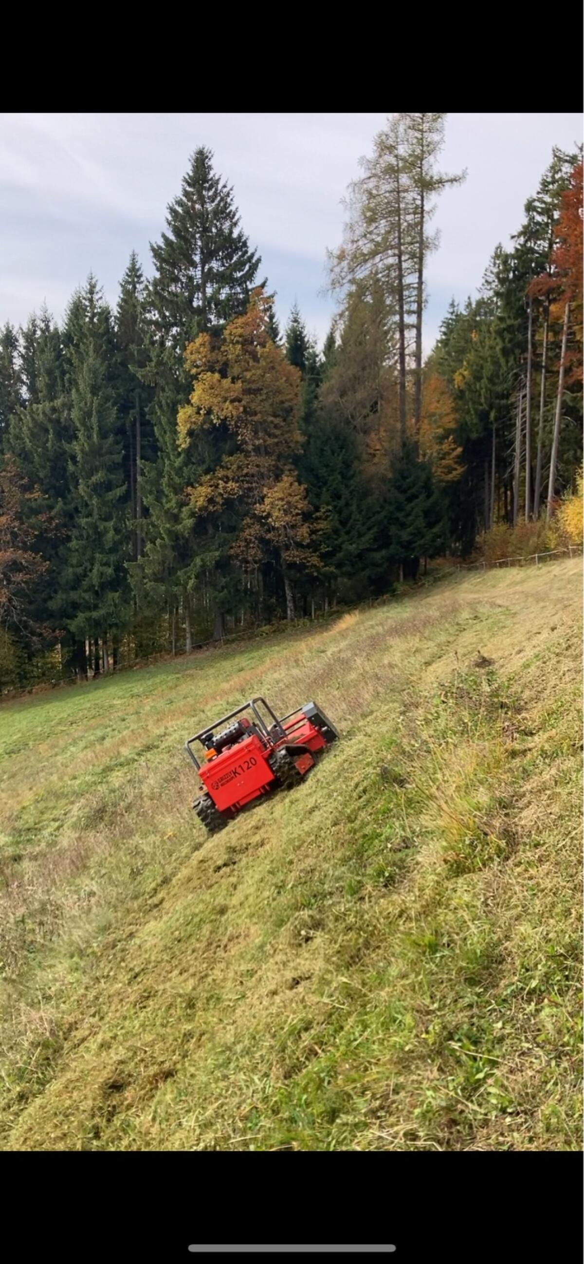 Mulchraupe Hochgrasmäher 2