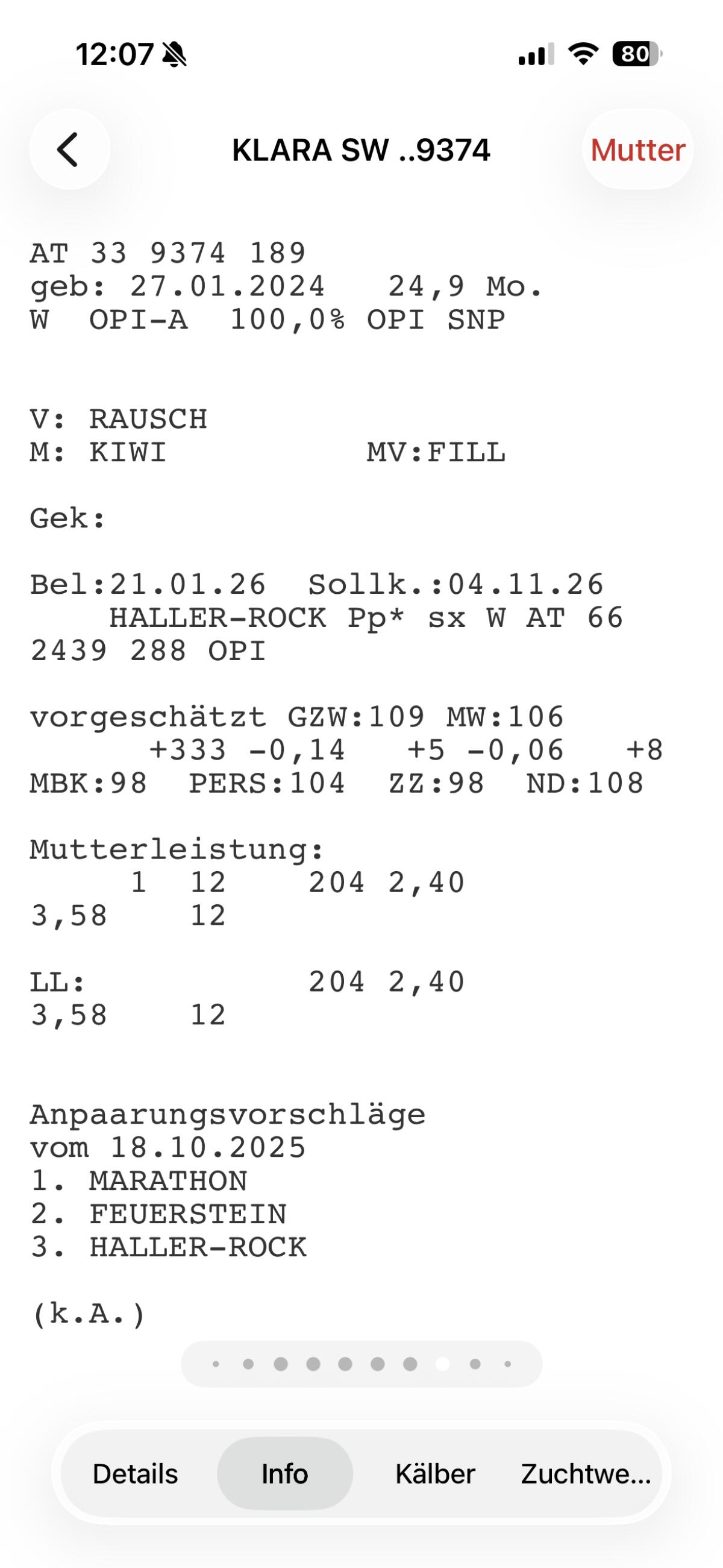 Bio Pinzgauerkalbin schwarz 2