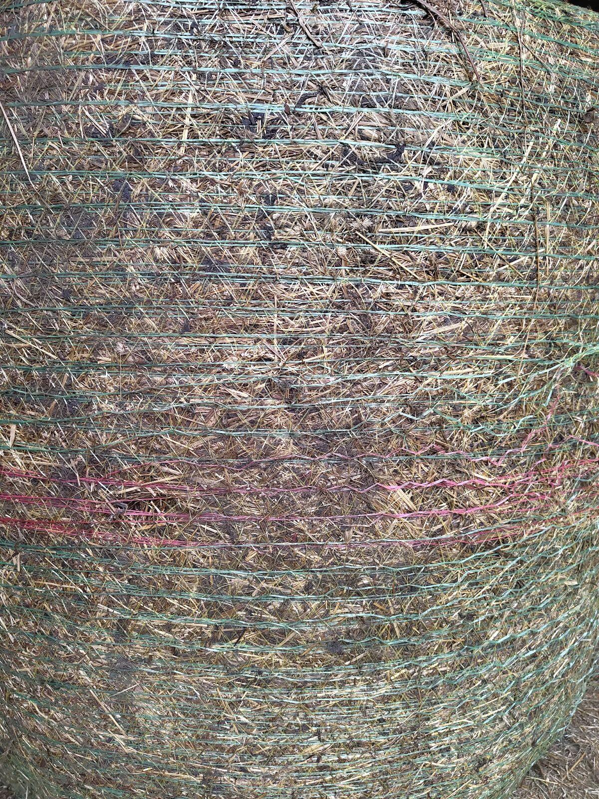 BIO Grassilage Ballen 3