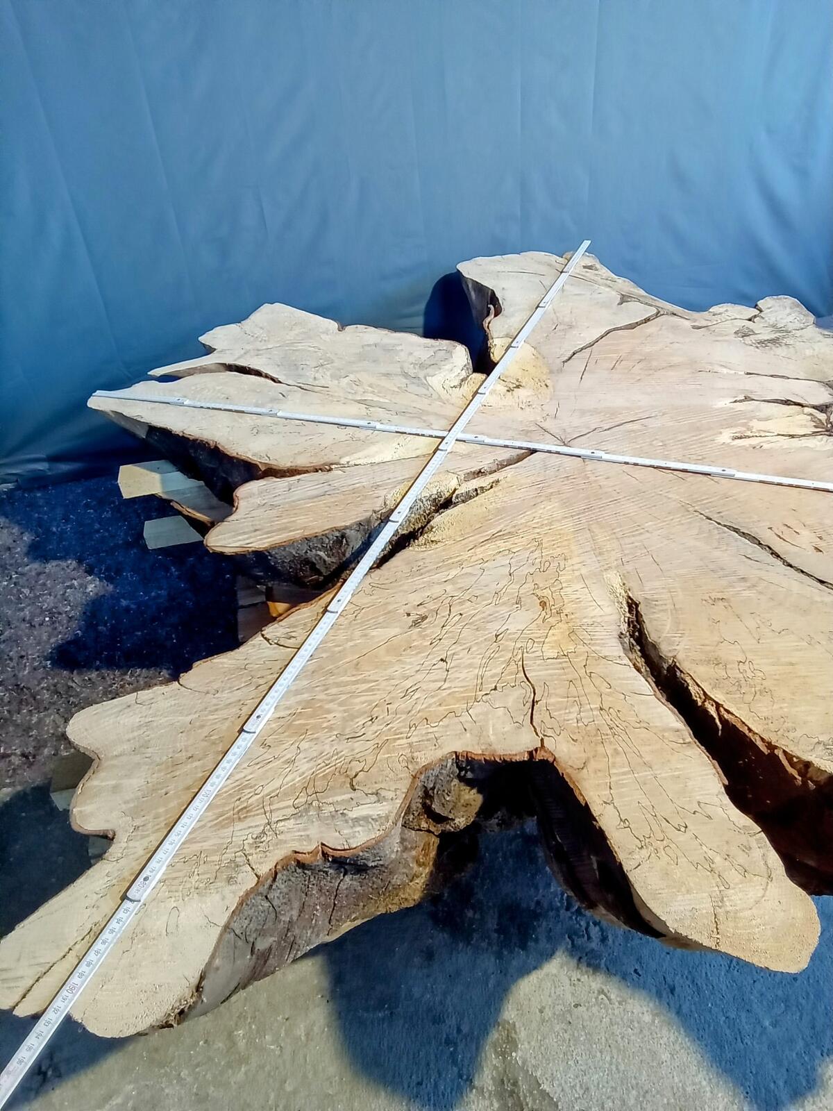 Jumbo Baumscheiben Tische 2