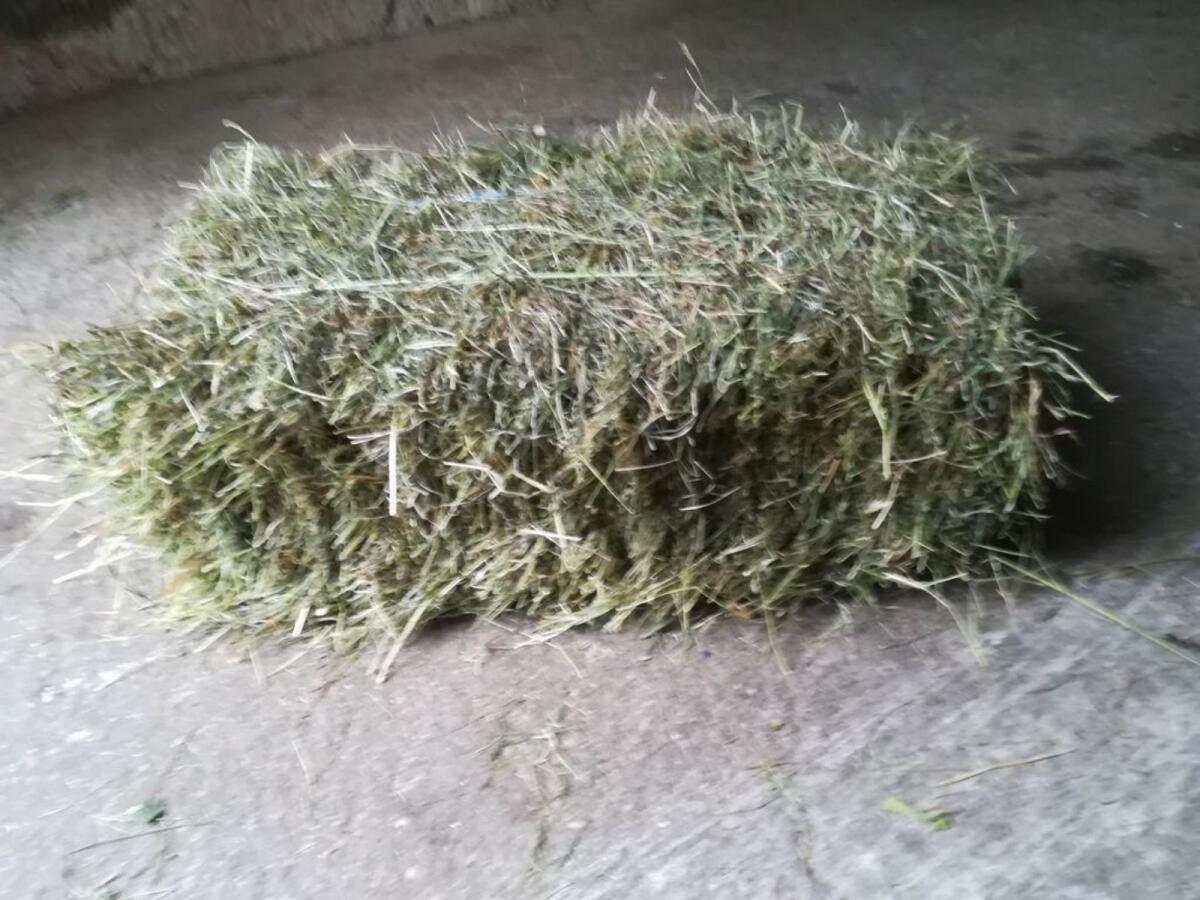 Heu in Kleinballen 3