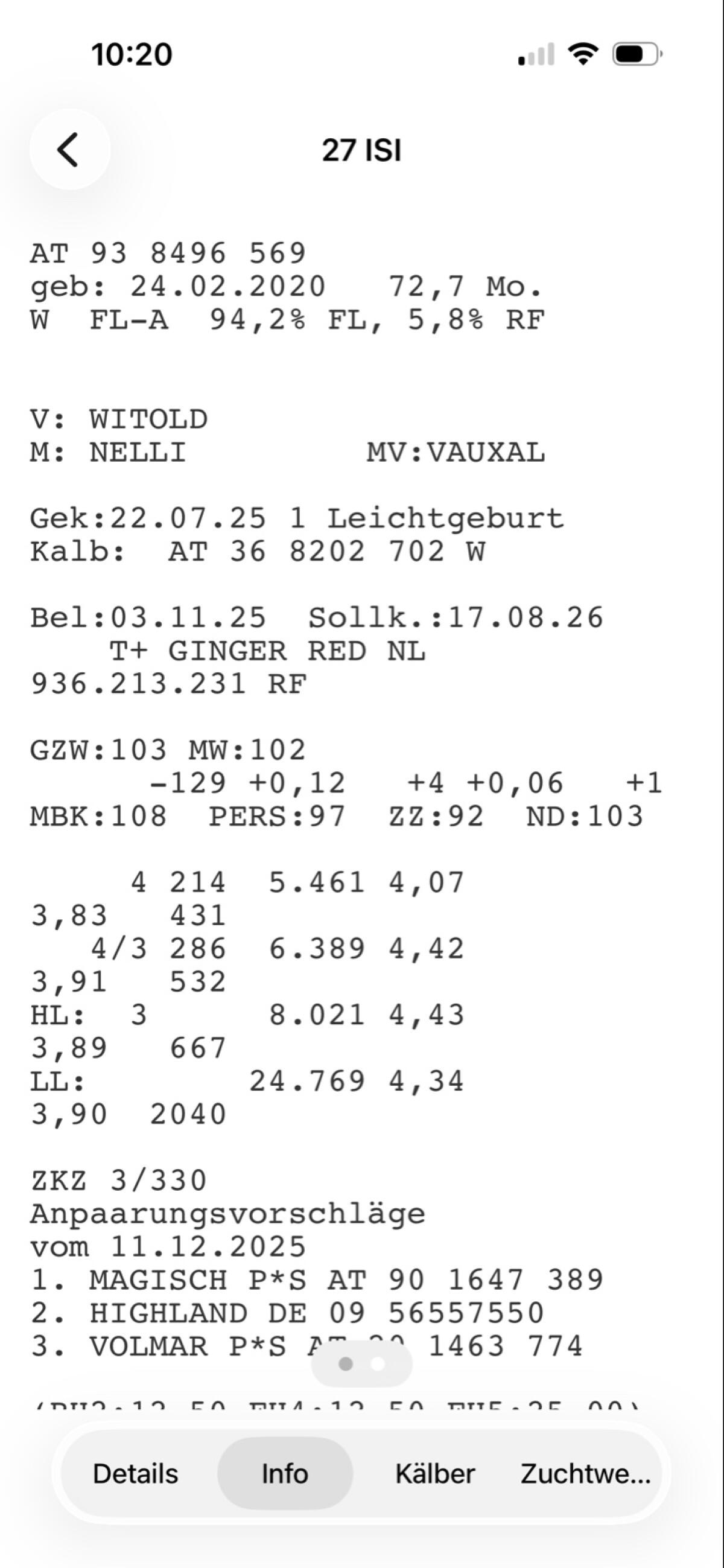 Bio Fleckvieh Kühe 2