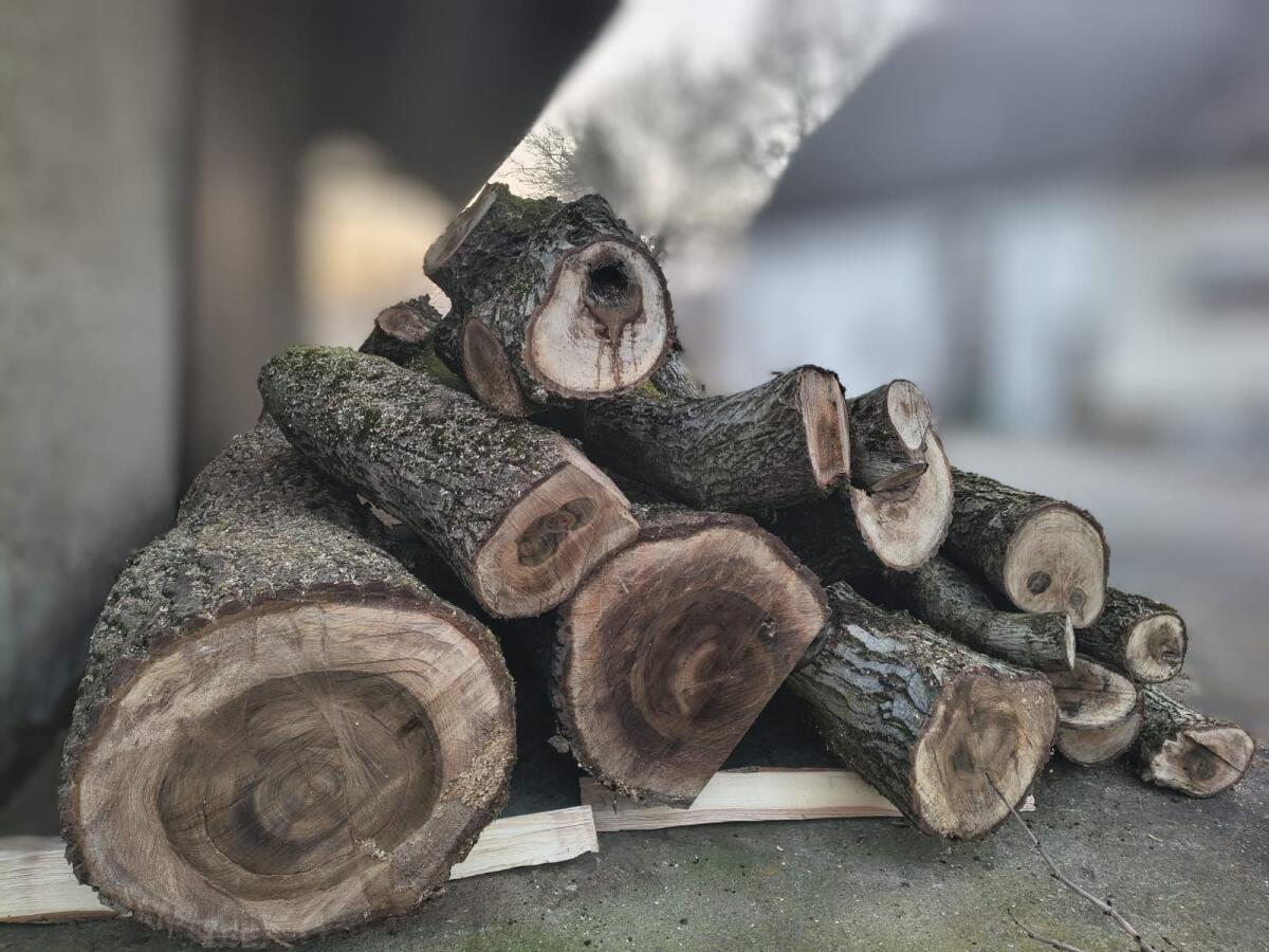 Walnussbaum Holz 3