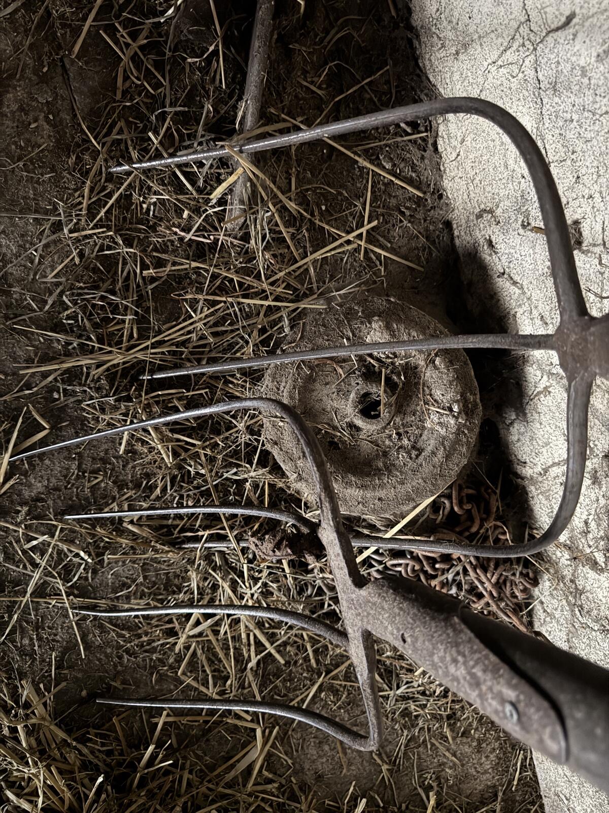9m Schnecke, Getreideschnecke mit Trichter 3