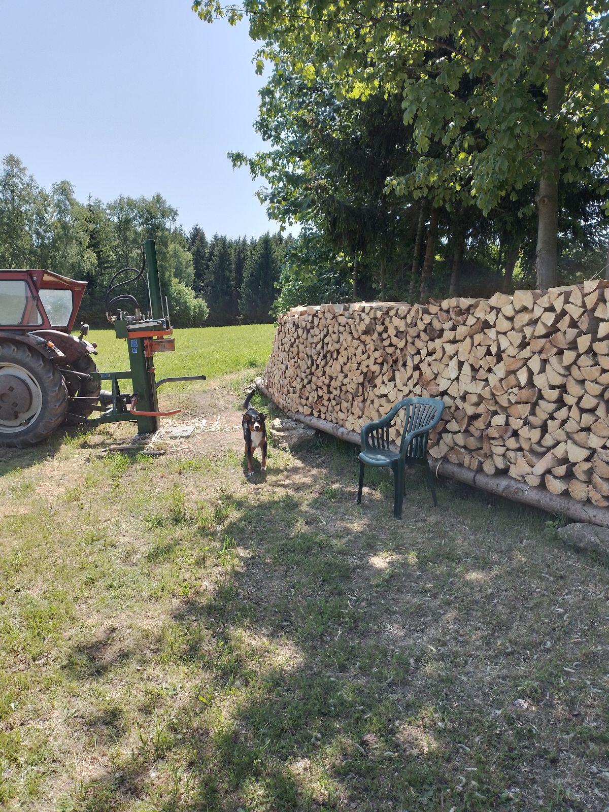 Scheiterholz 2