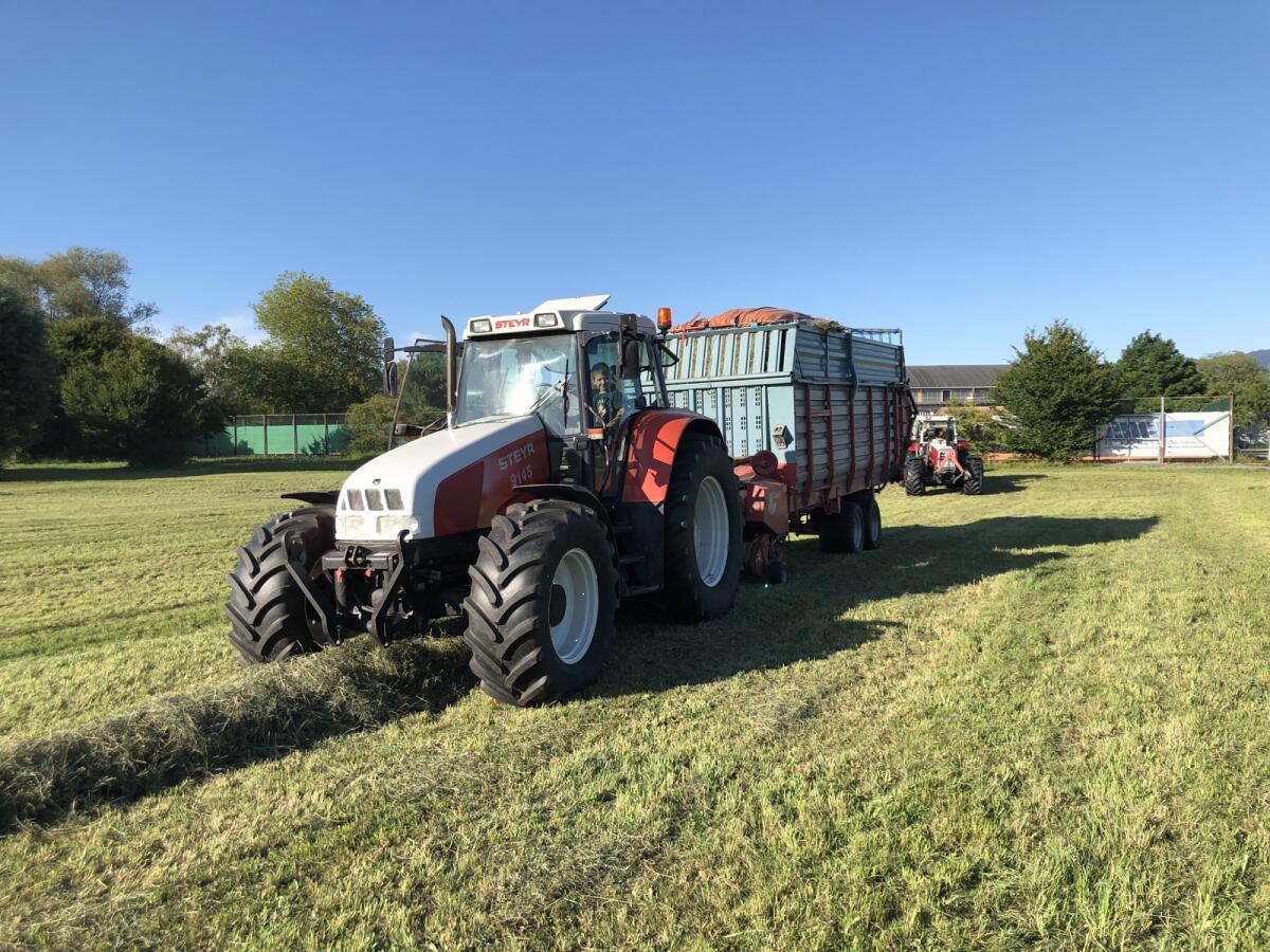 Steyr 2
