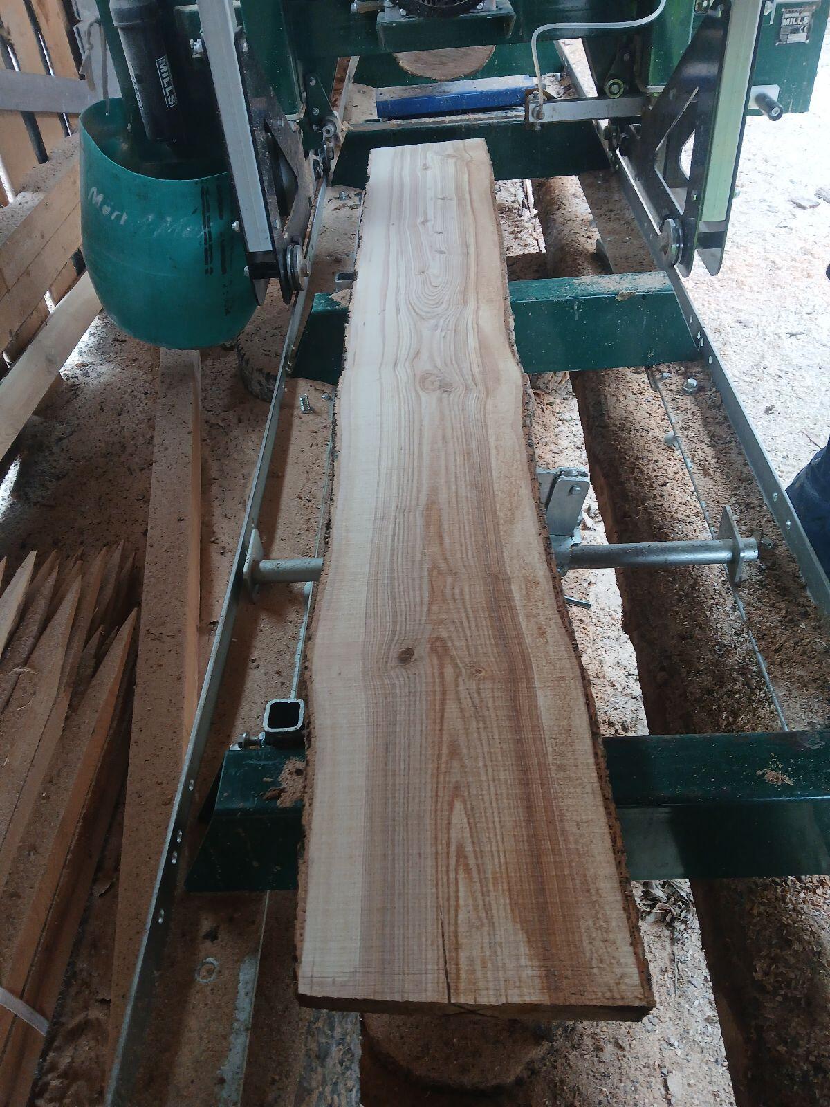 Tischler Holz Esche Kernesche 3